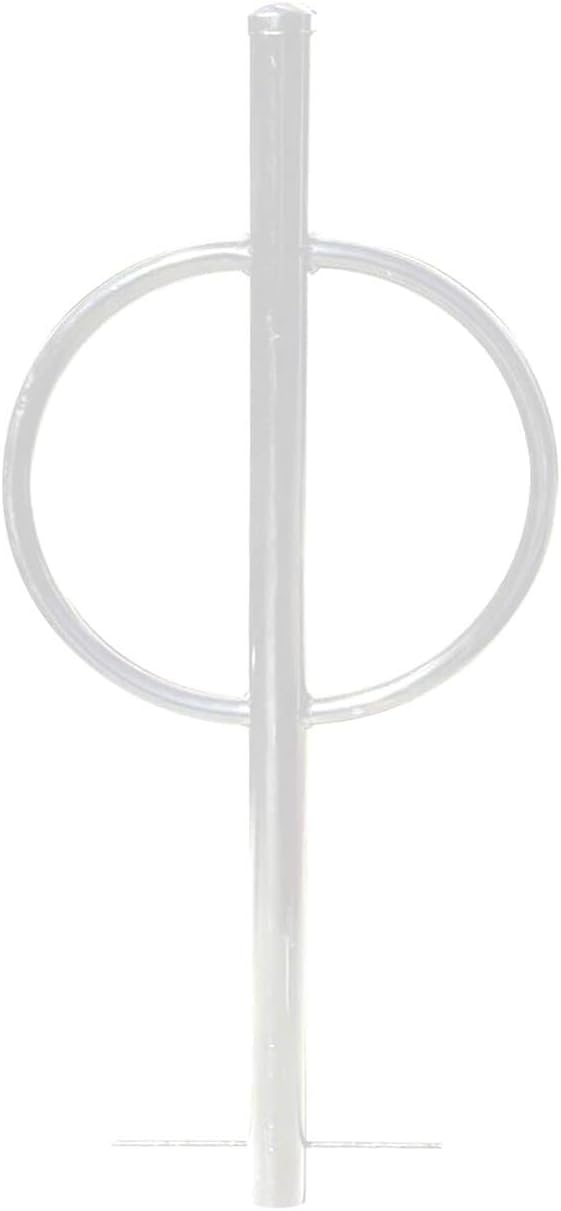 Sandbaggy Post and Ring Rack - In Ground - Commercial Outdoor Bike Parking & Storage Racks (White, 2)