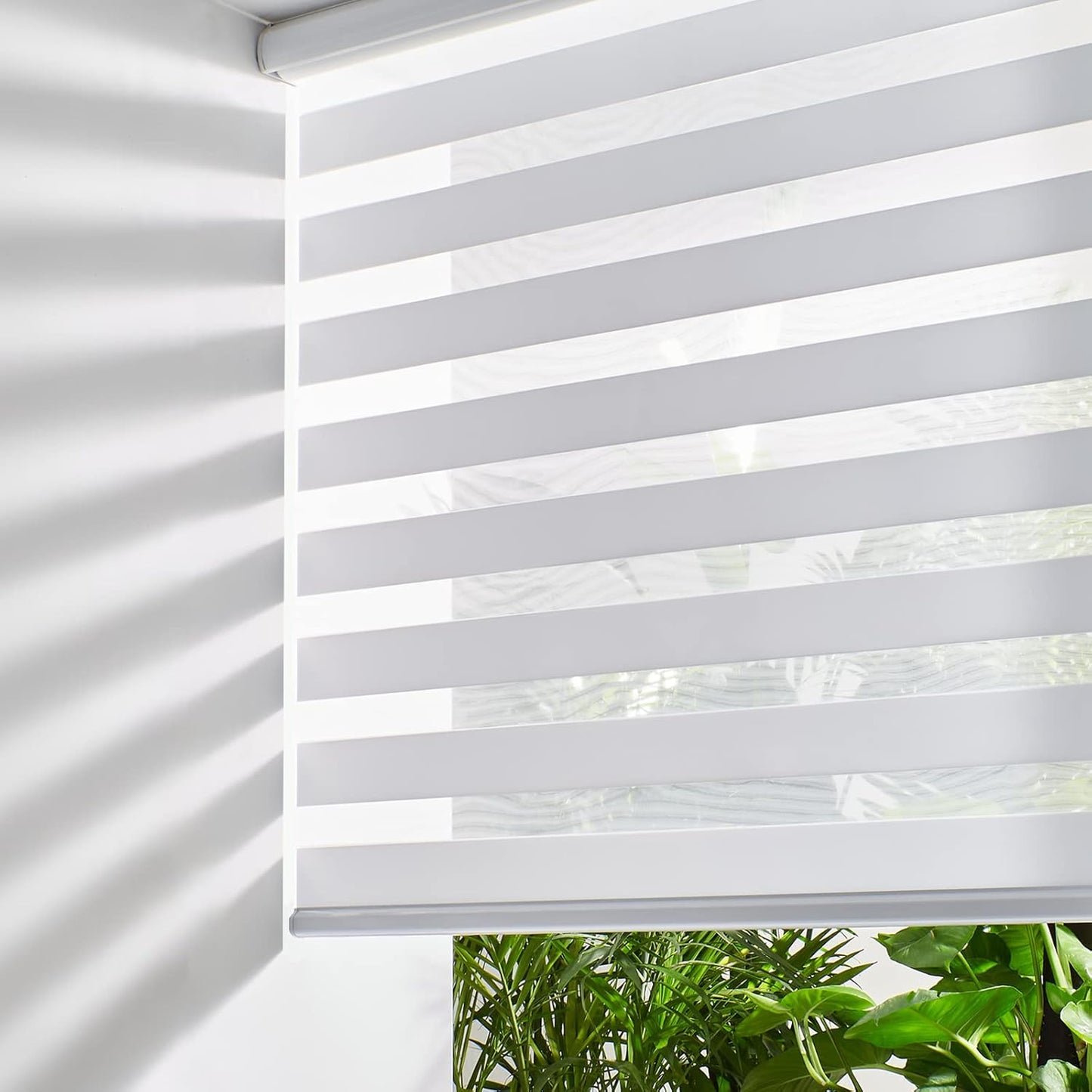 Persilux Cordless Zebra Blinds for Windows Free-Stop Roller Window Shades (39" W X 72" H, White) Dual Layer Light Control for Day and Night, Light Filtering Sheer Shades for Home, Easy to Install